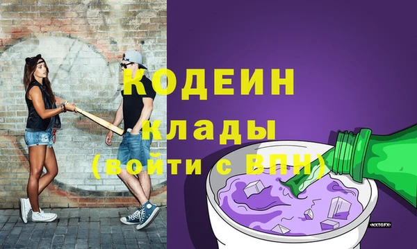 дживик Новодвинск