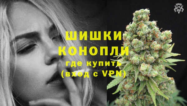 дживик Новодвинск