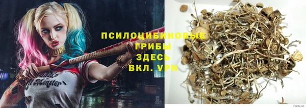 дживик Новодвинск