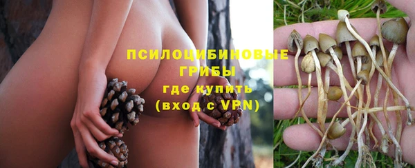спайс Новокубанск