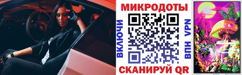 Купить где Дрезна Псилоцибиновые грибы Magic Shrooms
